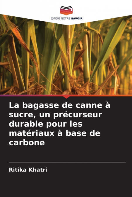 La bagasse de canne à sucre, un précurseur durable pour les matériaux à base de carbone