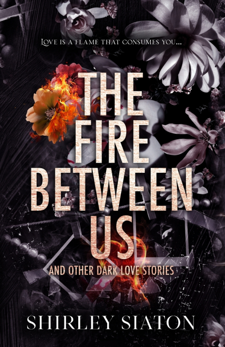 The Fire Between Us (The Discreet Edition)