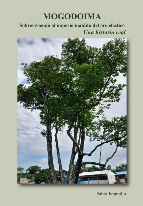 Mogodomia Sobreviviendo al imperio maldito del oro elástico