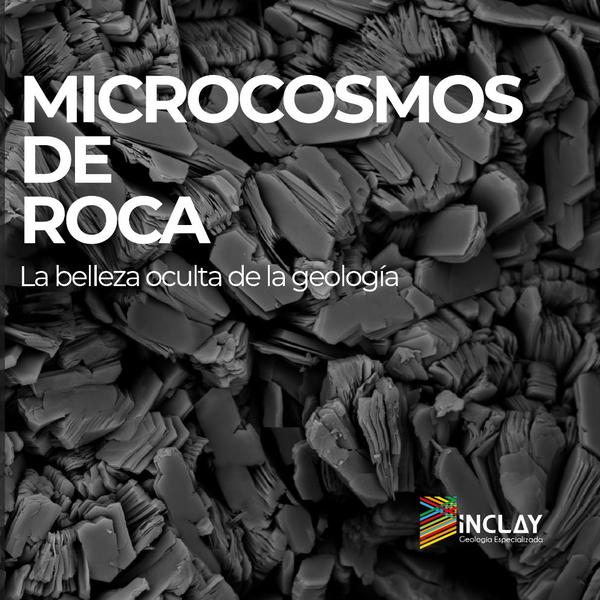 Microcosmos de roca