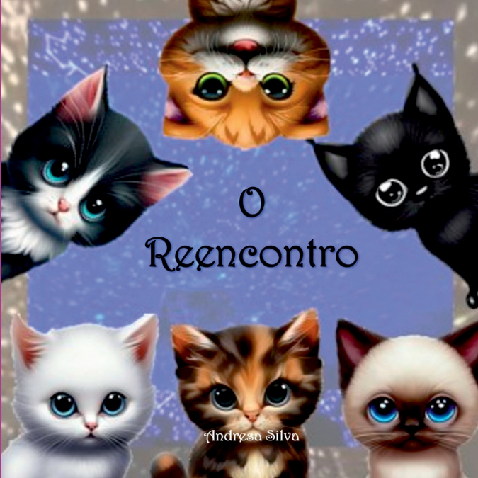 O Reencontro