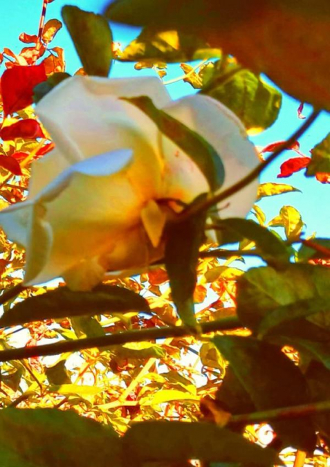 Segredadas Em Voz Alta