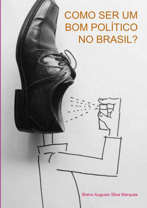 Como Ser Um Bom Político No Brasil?