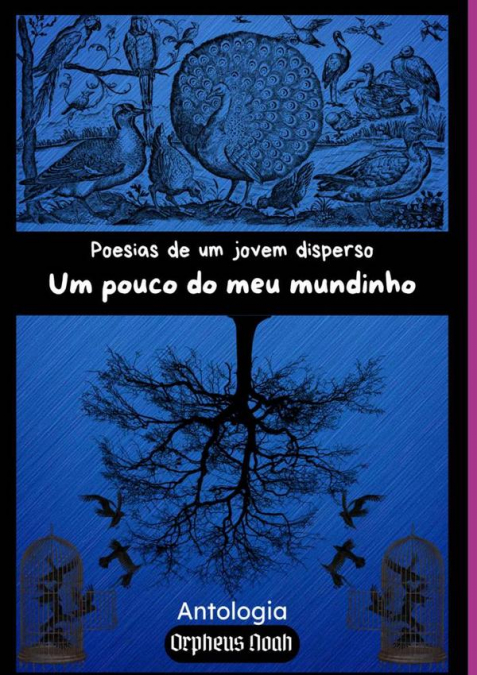 Poesias De Um Jovem Disperso