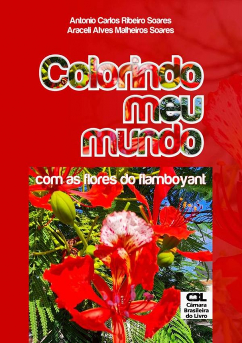 Colorindo Meu Mundo