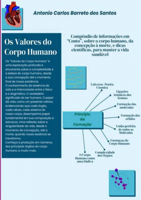 Os Valores Do Corpo Humano