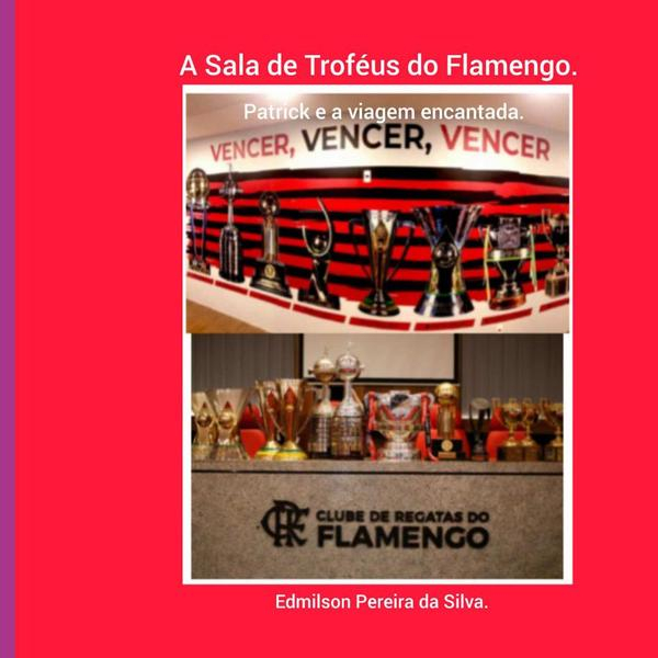 A Sala De Troféus Do Flamengo.
