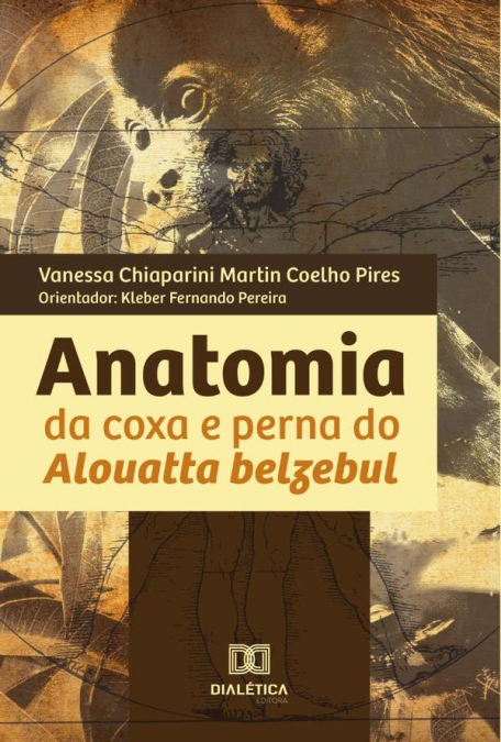Anatomia da coxa e perna do Alouatta belzebul