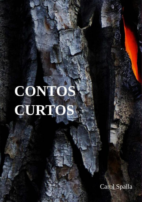 Contos Curtos