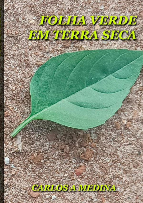 Folha Verde Em Terra Seca.