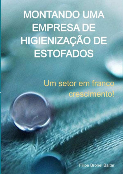 Montando Uma Empresa De Higienização De Estofados