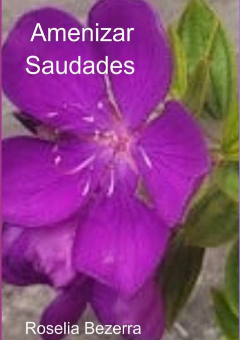 Amenizar Saudades