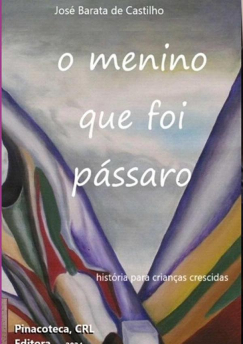 O Menino Que Foi Pássaro