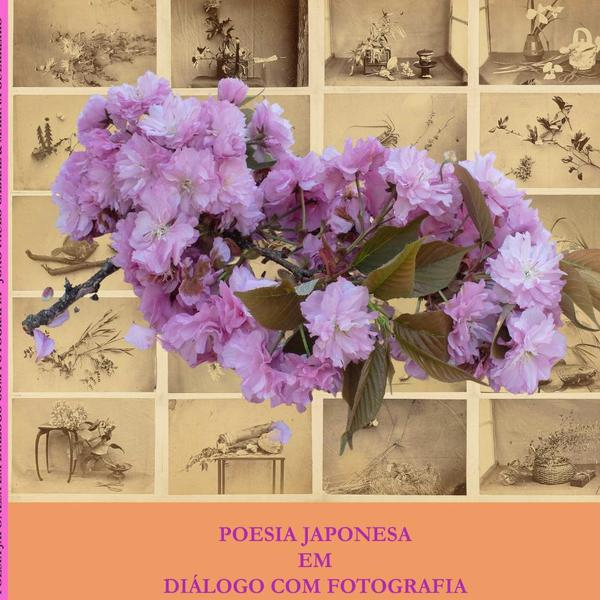 Poesia Japonesa Em Diálogo Com Fotografia