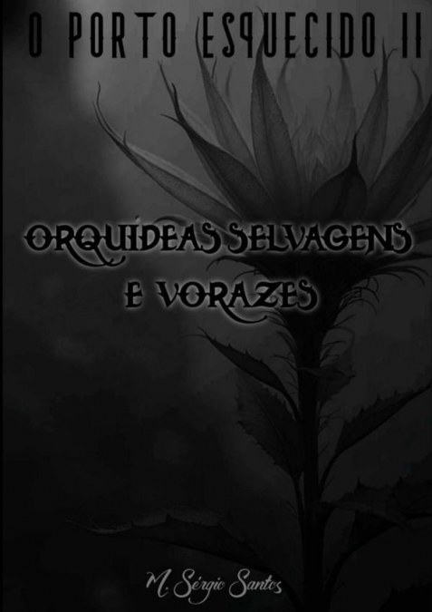 O Porto Esquecido Ii