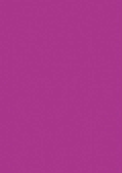 A Princesinha Perdida Na Floresta