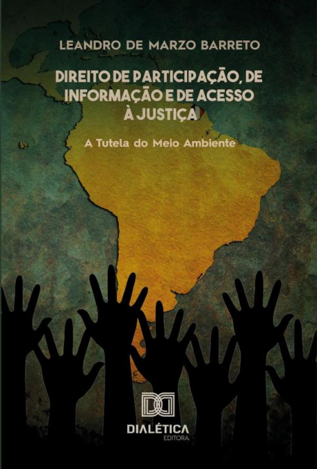 Direito de participação, de informação e de acesso à justiça
