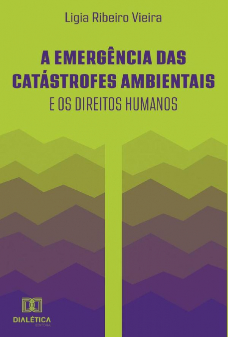 A emergência das catástrofes ambientais e os direitos humanos