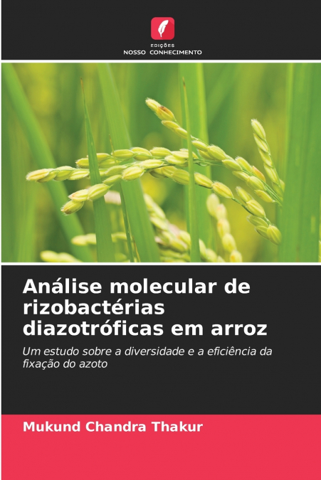 Análise molecular de rizobactérias diazotróficas em arroz