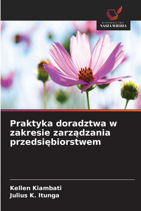 Praktyka doradztwa w zakresie zarządzania przedsiębiorstwem