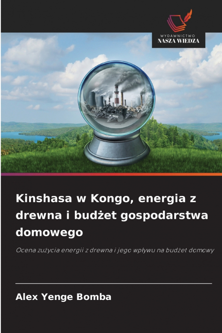 Kinshasa w Kongo, energia z drewna i budżet gospodarstwa domowego