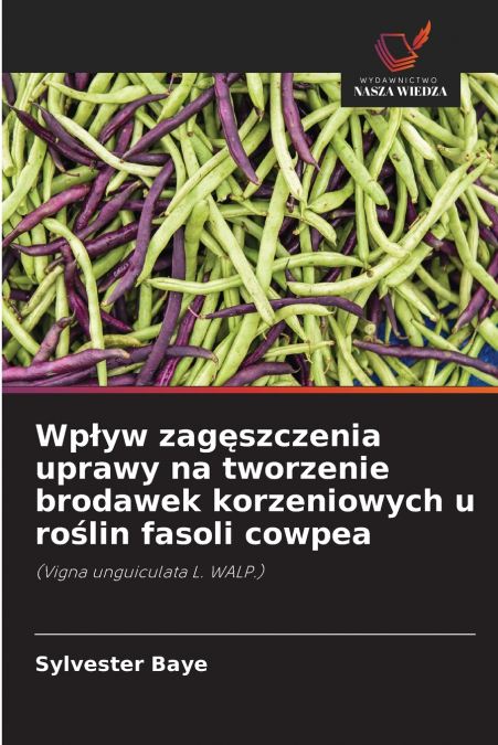 Wpływ zagęszczenia uprawy na tworzenie brodawek korzeniowych u roślin fasoli cowpea