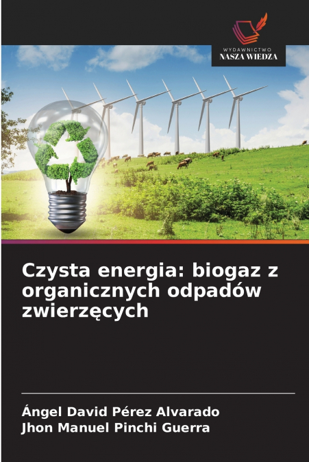 Czysta energia