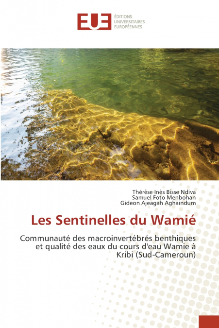 Les Sentinelles du Wamié
