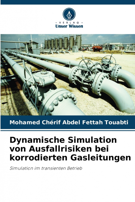 Dynamische Simulation von Ausfallrisiken bei korrodierten Gasleitungen