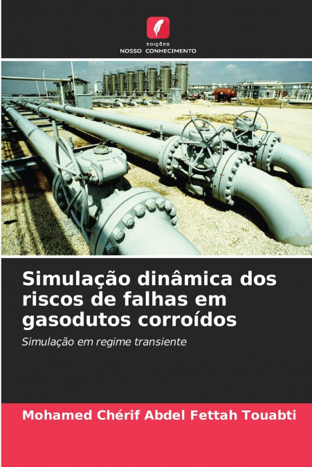 Simulação dinâmica dos riscos de falhas em gasodutos corroídos