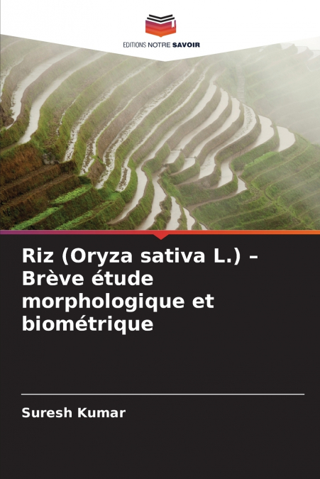 Riz (Oryza sativa L.) - Brève étude morphologique et biométrique