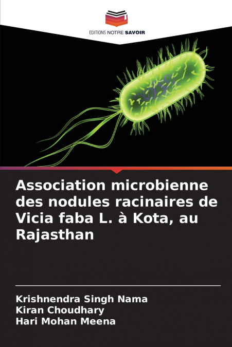 Association microbienne des nodules racinaires de Vicia faba L. à Kota, au Rajasthan