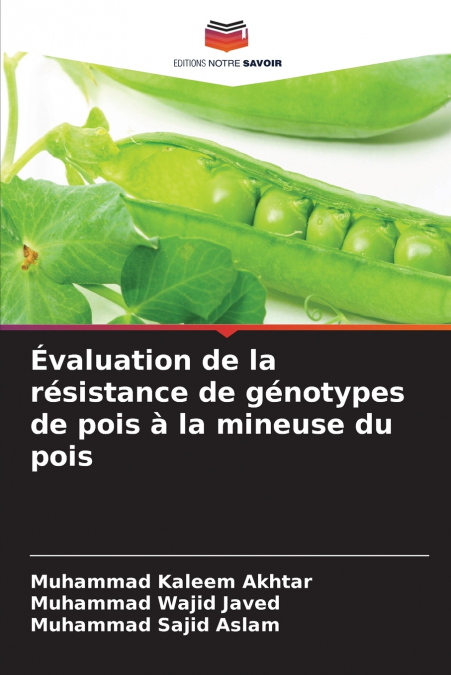 Évaluation de la résistance de génotypes de pois à la mineuse du pois