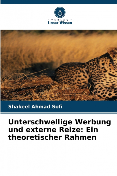 Unterschwellige Werbung und externe Reize