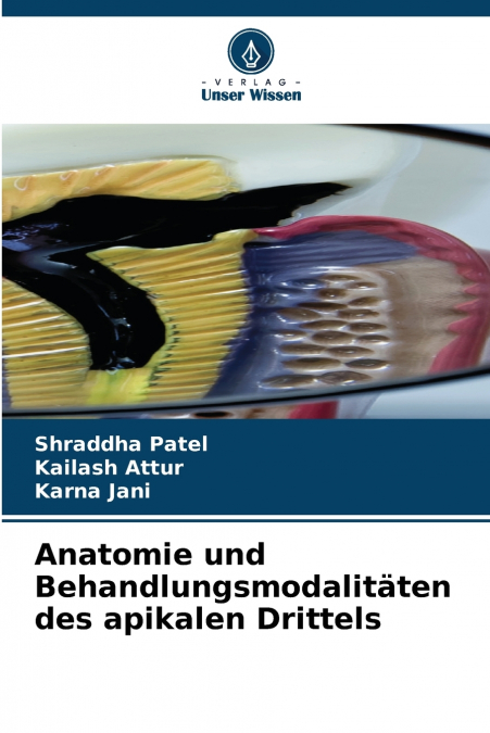 Anatomie und Behandlungsmodalitäten des apikalen Drittels