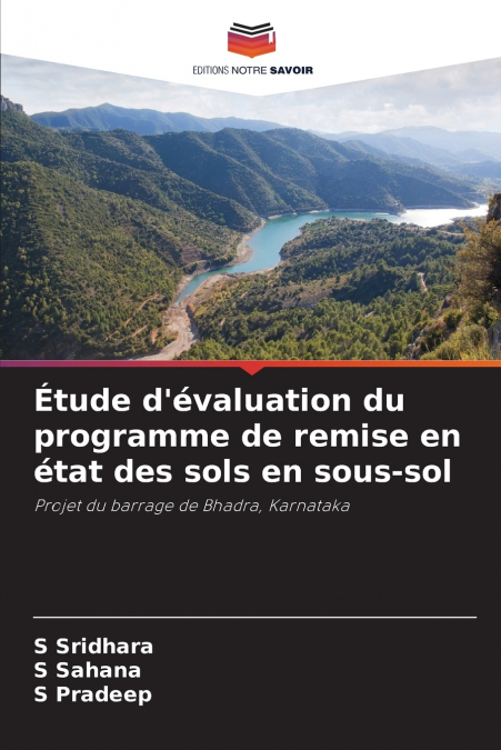 Étude d’évaluation du programme de remise en état des sols en sous-sol
