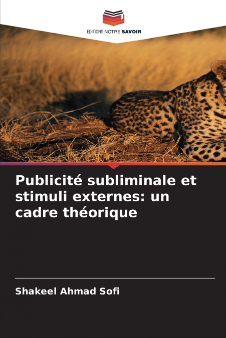 Publicité subliminale et stimuli externes