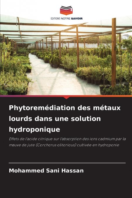 Phytoremédiation des métaux lourds dans une solution hydroponique