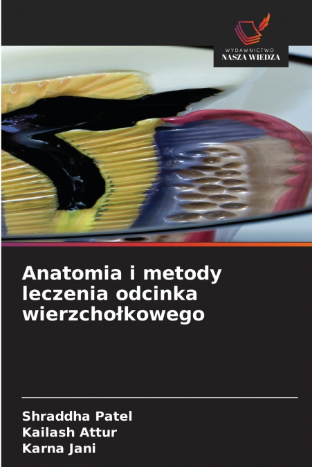 Anatomia i metody leczenia odcinka wierzchołkowego