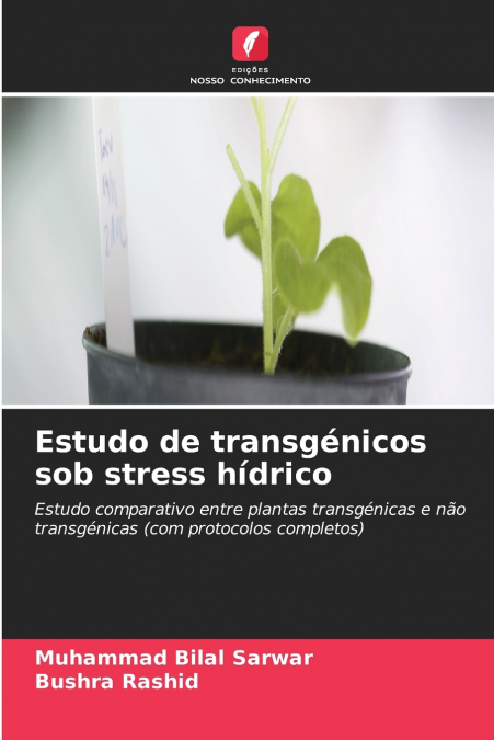 Estudo de transgénicos sob stress hídrico