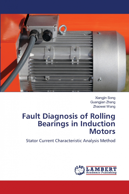 Fault Diagnosis of Rolling Bearings in Induction Motors