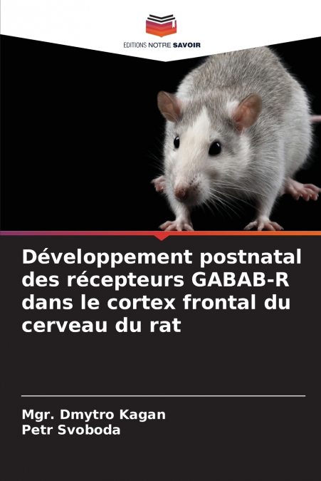 Développement postnatal des récepteurs GABAB-R dans le cortex frontal du cerveau du rat