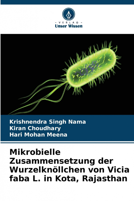 Mikrobielle Zusammensetzung der Wurzelknöllchen von Vicia faba L. in Kota, Rajasthan