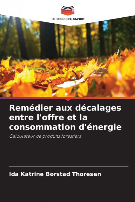 Remédier aux décalages entre l’offre et la consommation d’énergie