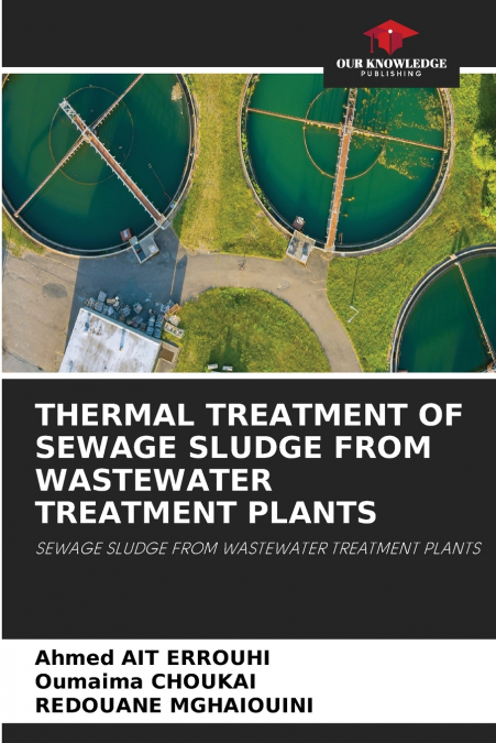 THERMAL TREATMENT OF SEWAGE SLUDGE FROM WASTEWATER TREATMENT PLANTS