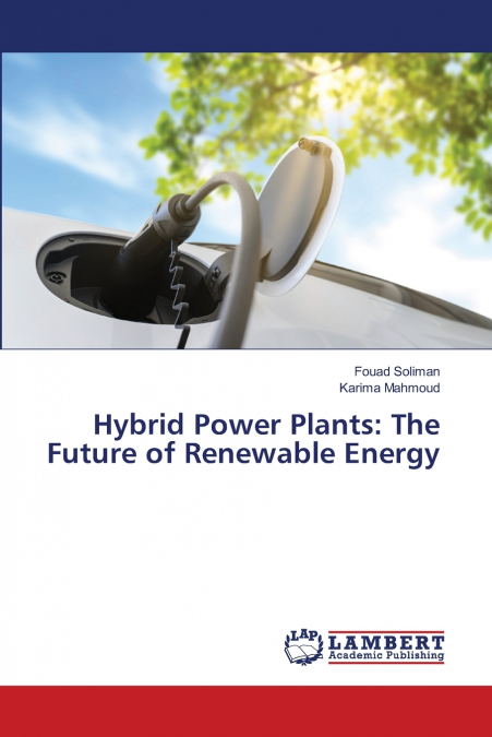 Hybrid Power Plants