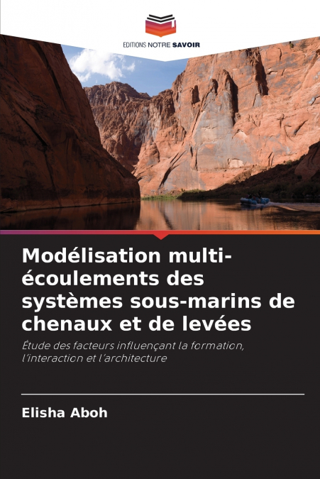 Modélisation multi-écoulements des systèmes sous-marins de chenaux et de levées