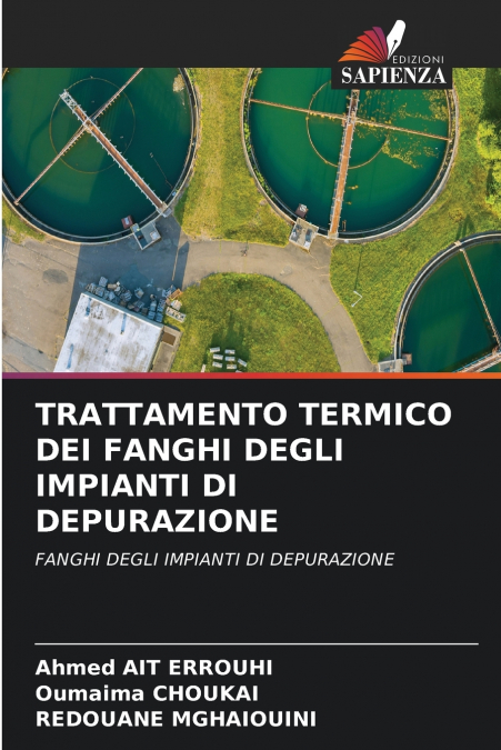 TRATTAMENTO TERMICO DEI FANGHI DEGLI IMPIANTI DI DEPURAZIONE