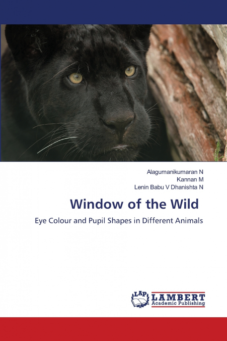 Window of the Wild