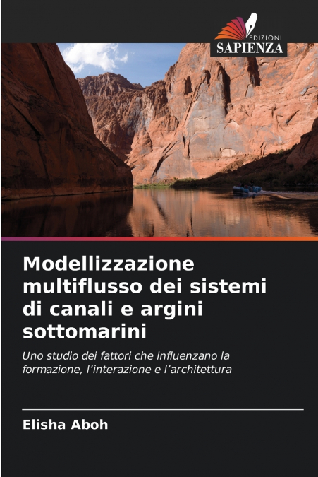 Modellizzazione multiflusso dei sistemi di canali e argini sottomarini